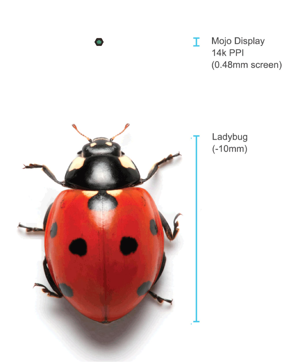 Mojo Vision micro LED display size comparison